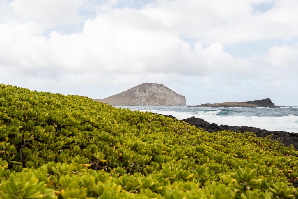 Zona Zec. Asesoría zona ZEC. You Asesoría