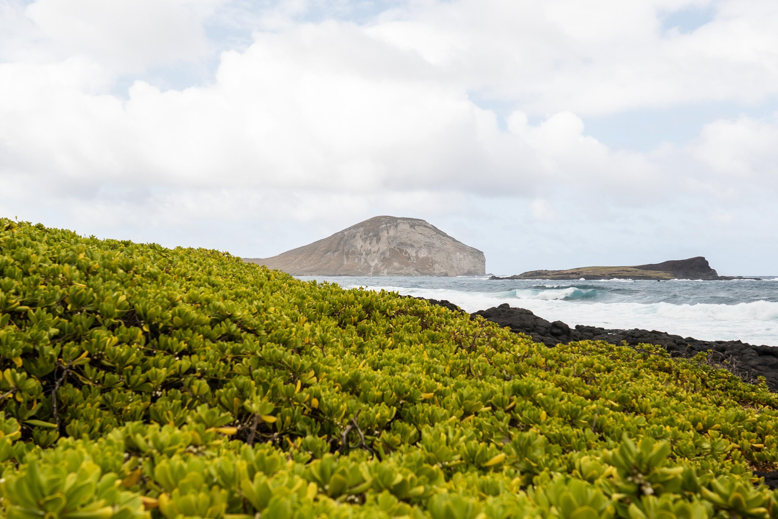 Zona Zec. Asesoría zona ZEC. You Asesoría